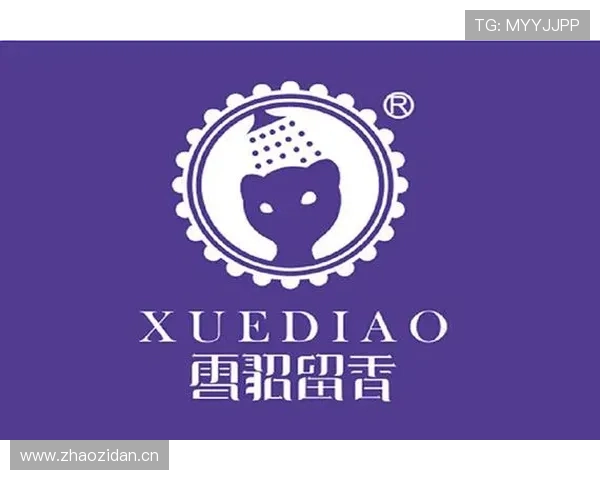 星空体育平台app界面设计简洁流畅，操作体验极致优化让运动变得轻松愉快